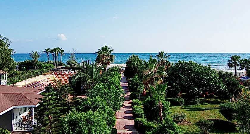 Clover Magic Garden Beach