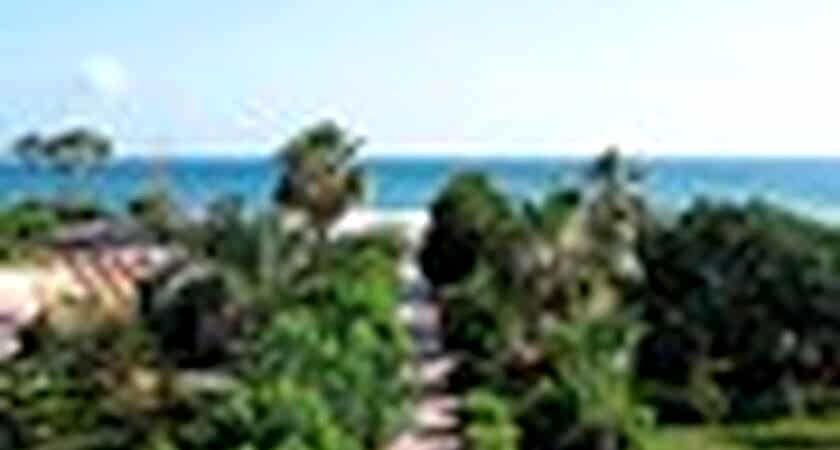 Clover Magic Garden Beach