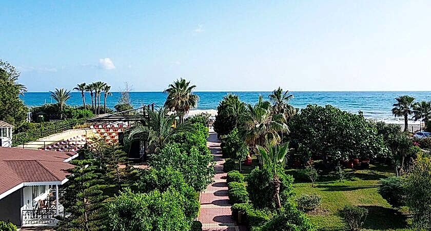 Clover Magic Garden Beach