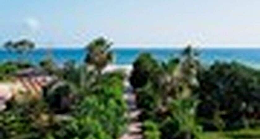 Clover Magic Garden Beach