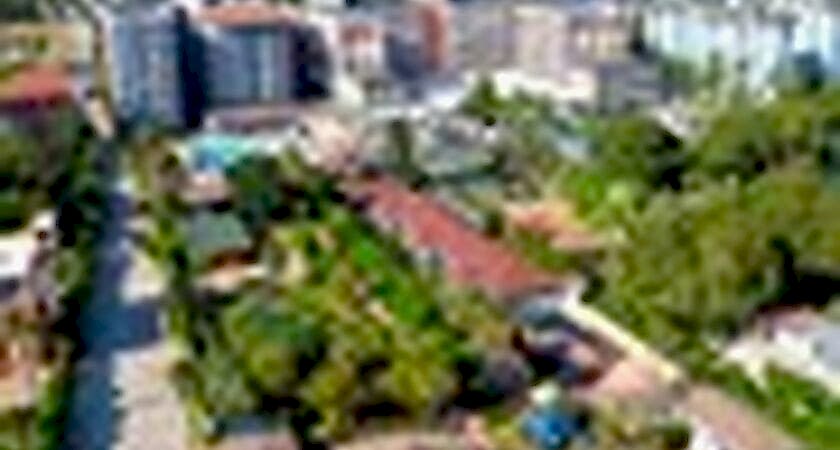 Clover Magic Garden Beach