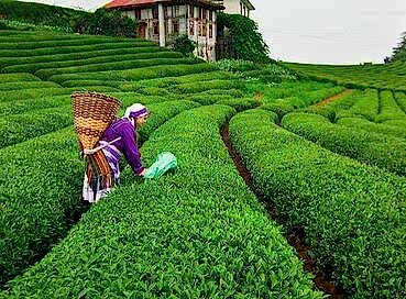 RAMAZAN BAYRAMINA ÖZEL DOĞU KARADENİZ TURU ( 3 GECE OTEL KONAKLAMALI) 